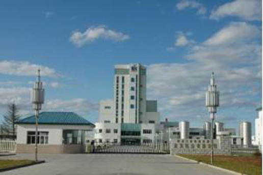 �������Y