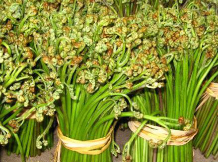 �������Y