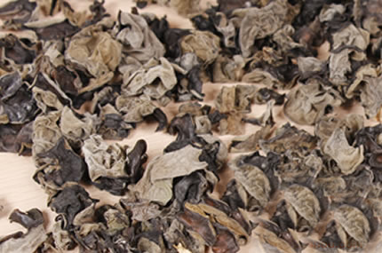 �������Y