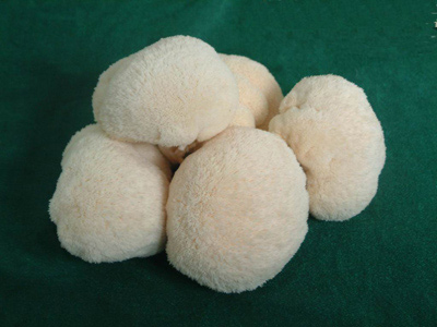 �������Y