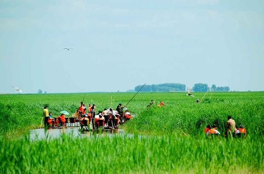 �������Y