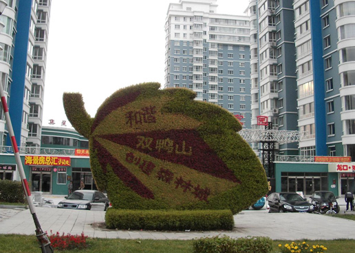 �������Y