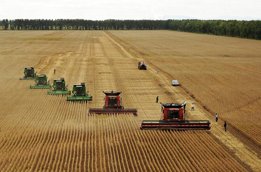 �������Y