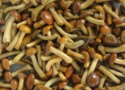 �������Y