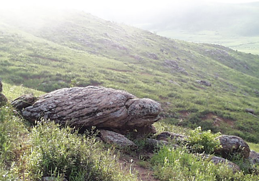 �������Y