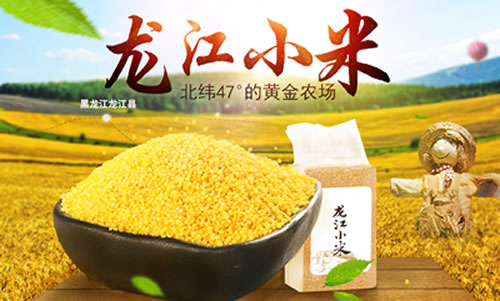 �������Y