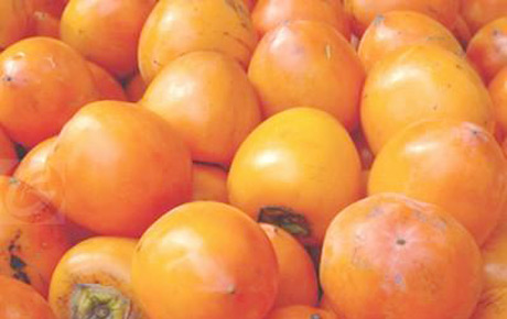 �������Y