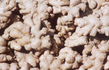 �������Y