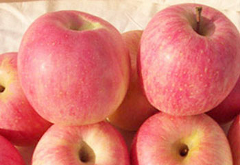 �������Y