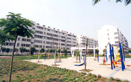 �������Y