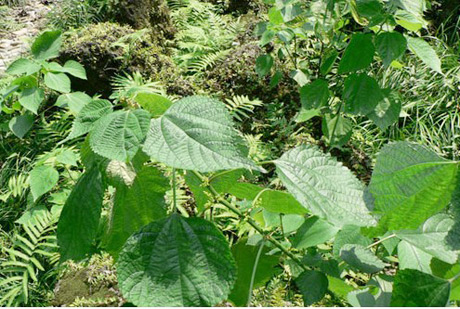 �������Y