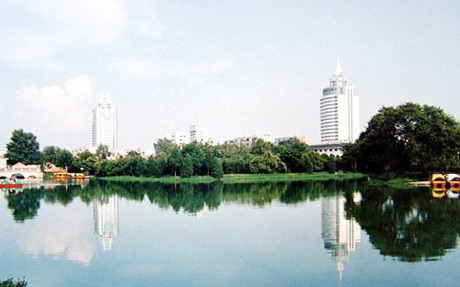 �������Y