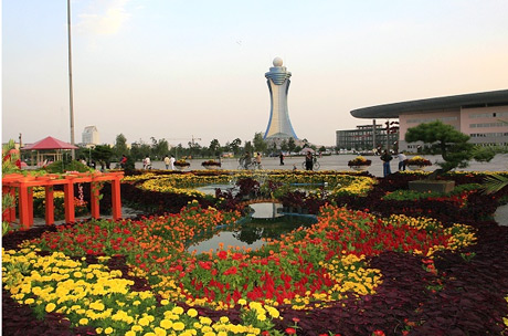 �������Y