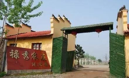 �������Y