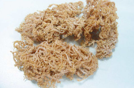 �������Y