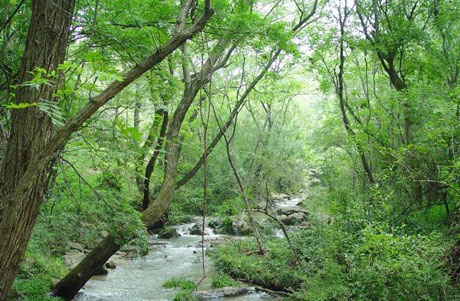 �������Y