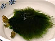 �������Y