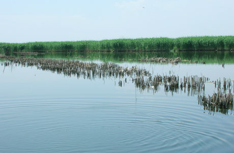 �������Y