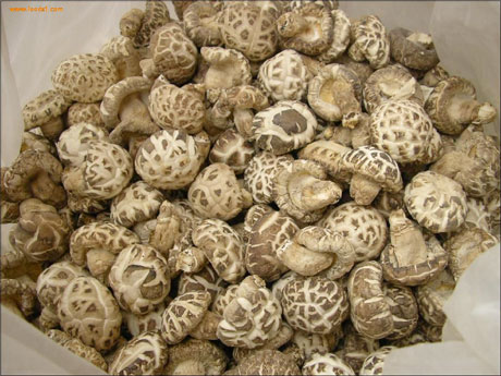 �������Y