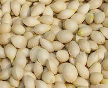 �������Y