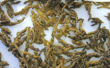 �������Y