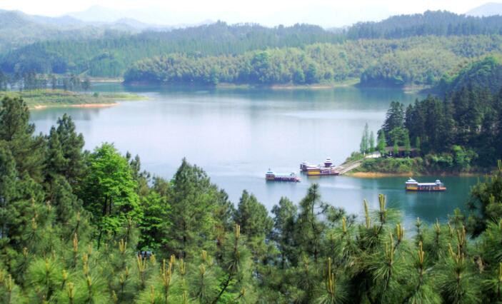 �������Y