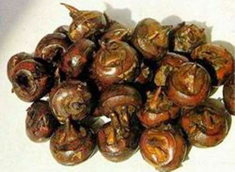 �������Y