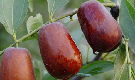 �������Y