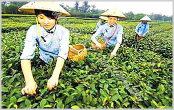 �������Y