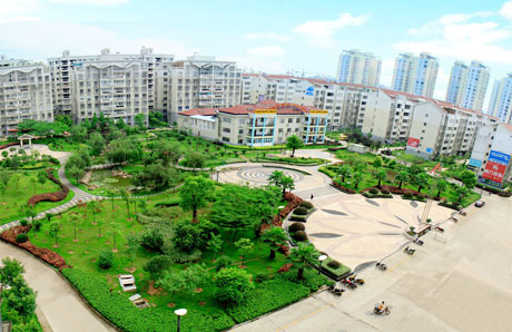 �������Y