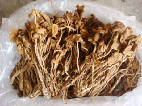 �������Y