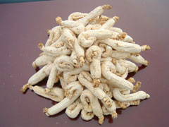 �������Y