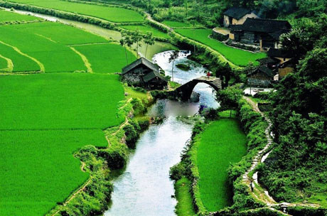 �������Y