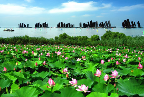 �������Y