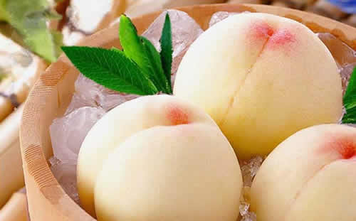 �������Y