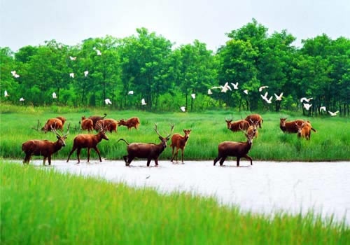 �������Y