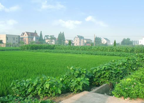 �������Y