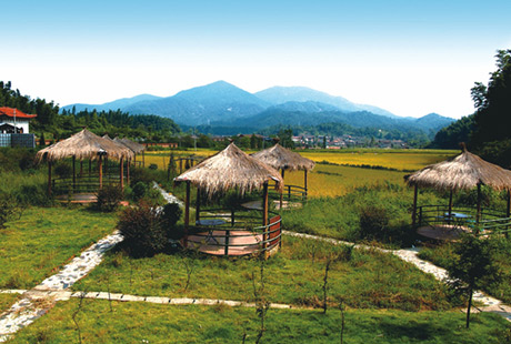 �������Y