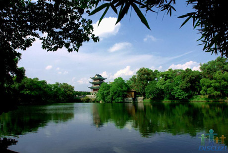 �������Y