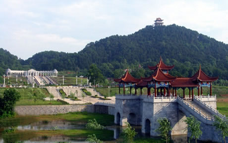 �������Y