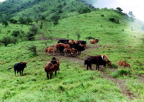 �������Y