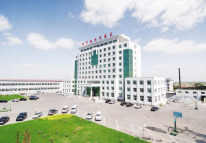 �������Y