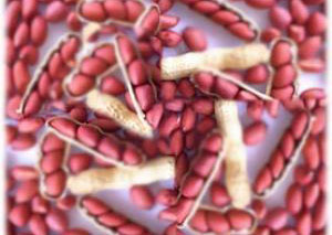 �������Y