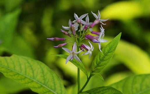 �������Y