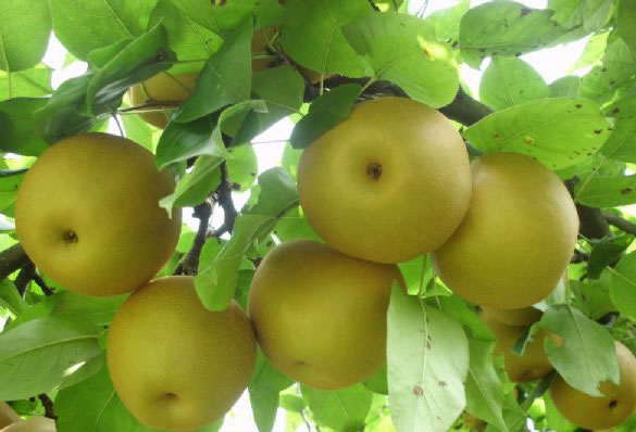 �������Y