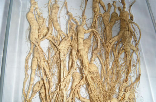 �������Y