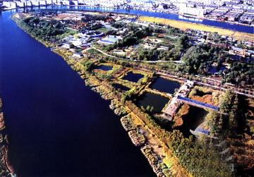 �������Y