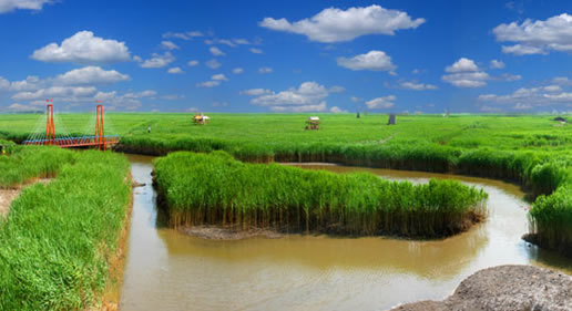 �������Y