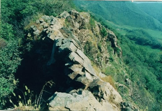 �������Y