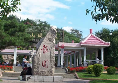 �������Y